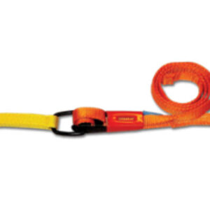 Conjunto RO-RO para sujeción de vehículos